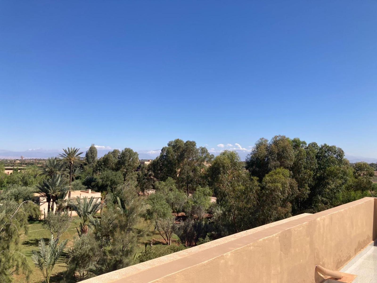 Family Palms Luxe Villa Marrakech With Private Pool Marrakesz Pokój zdjęcie